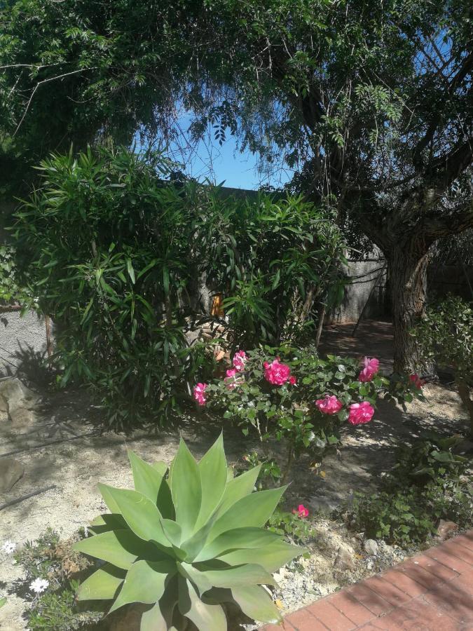 Finca San Diego, Villa Entera Para Ti Vallonga Εξωτερικό φωτογραφία
